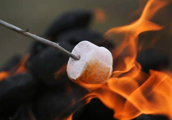 Roasting marshmallow