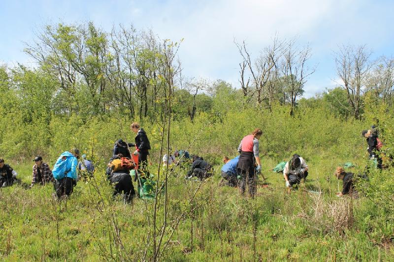 Youth group doing restoration work