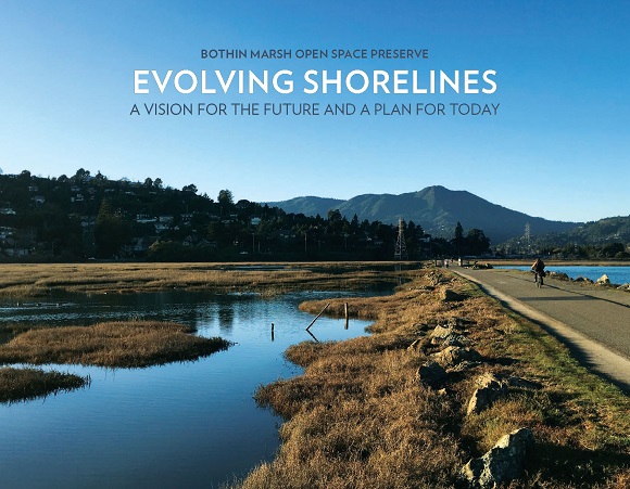 Evolving Shorelines Vision Cover.jpg