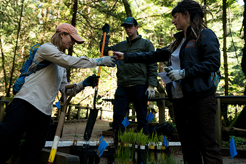 Hands on Tam Volunteers