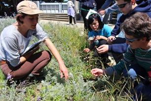 Group taking a closer look at flowers