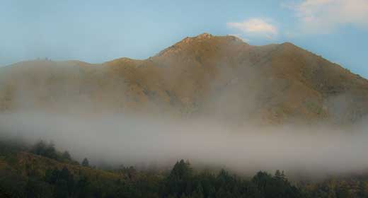 Mt Tam above a layer of fog