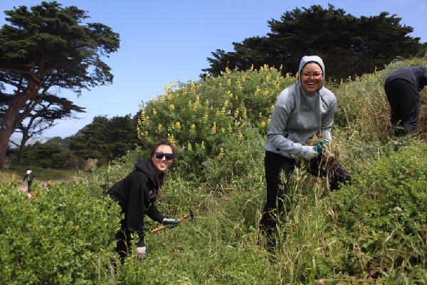 Hard-working volunteers