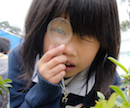 Bioblitz, Homestead Valley