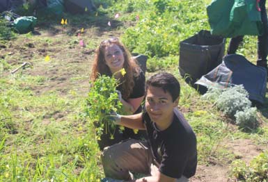 San Francisco Park Stewardship - September 2017 - 1