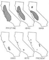 Tule Elk CA map-feb18